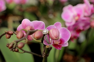 orchid bridal shoot | Gema Blanton-09