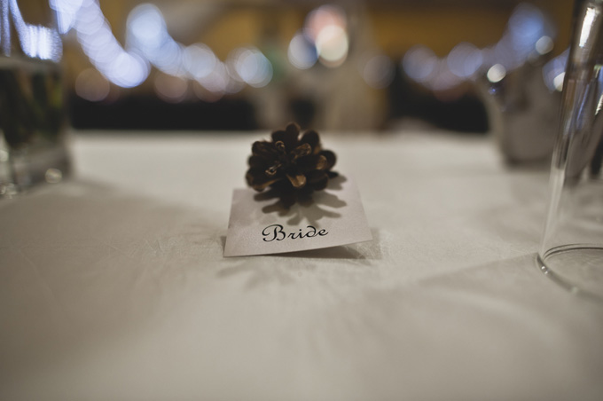vintage australian wedding | Event Imaging-26