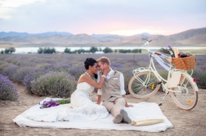 lavender styled shoot | Amy Lashelle Photography-15