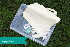 dip-dyed canvas tote DIY | Glamour & Grace