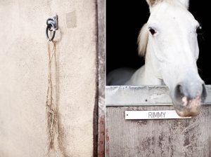 horse engagement | Margaurita Photography