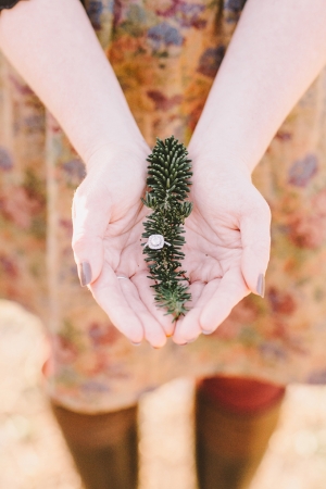 christmas tree engagement | White Rabbit Studios