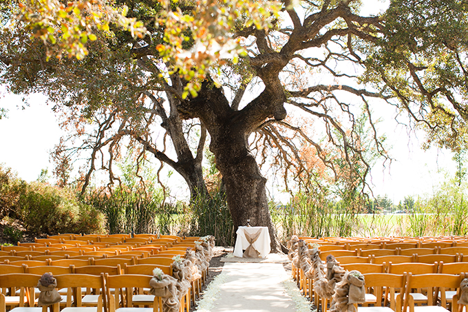 rustic succulent wedding | Carmen Salazar Photography