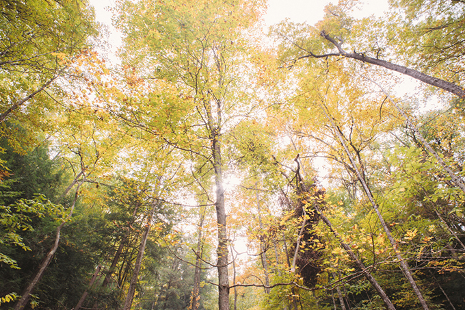 vintage fall wedding | Two Birds Photography